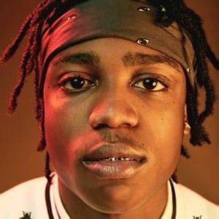 22Gz Bio (Wiki) 