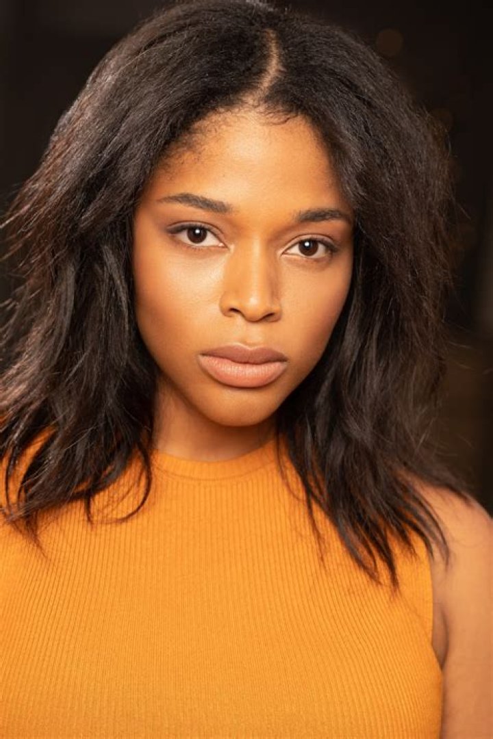 Ashley Nicole (Vlogger) Bio (Wiki) 