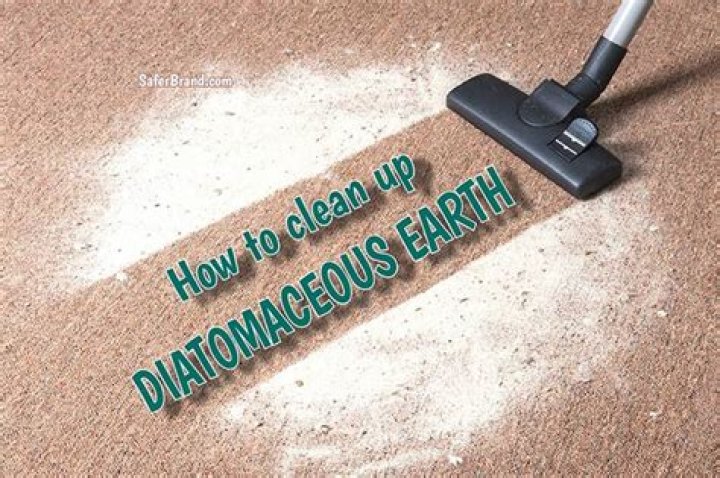 Can I vacuum diatomaceous earth?