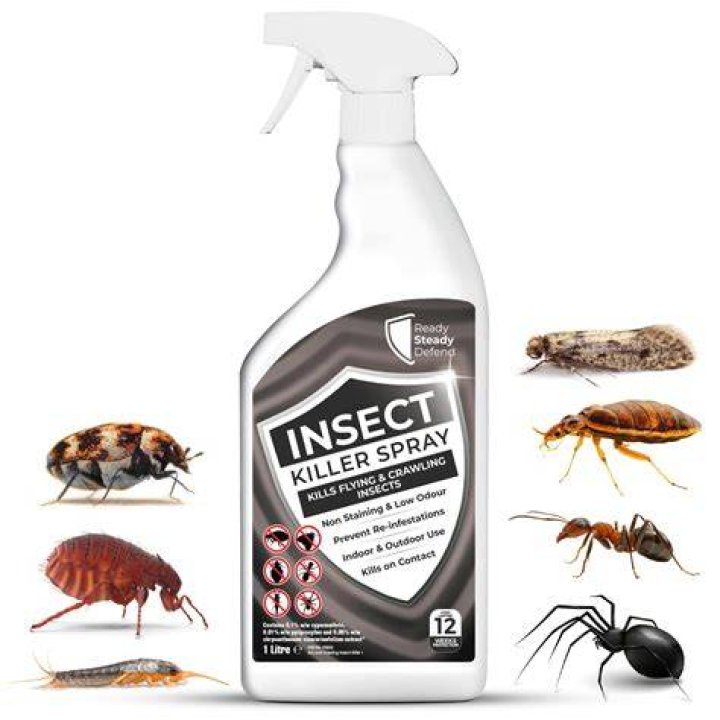 Can oregano kill insects?