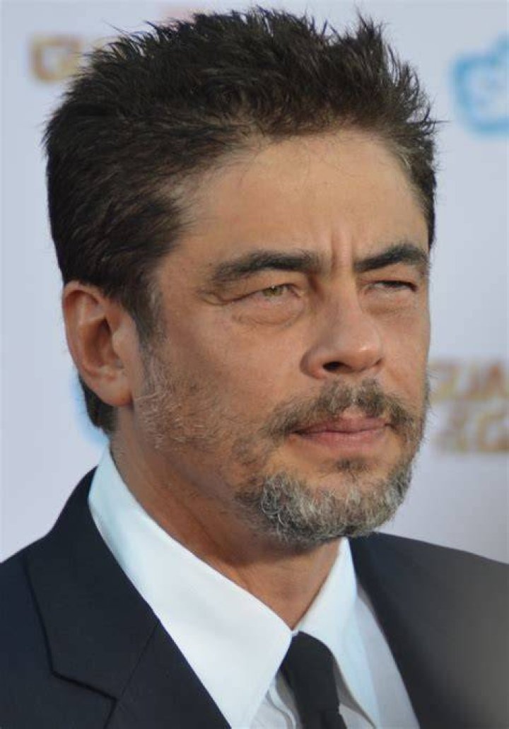 Celebrities named Benicio