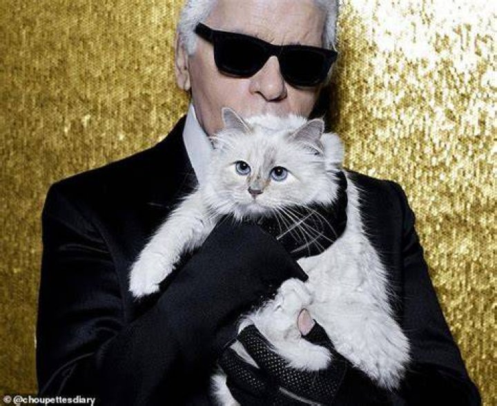 Choupette Instagram