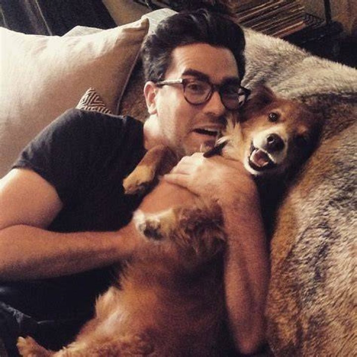 Dan Levy Pets