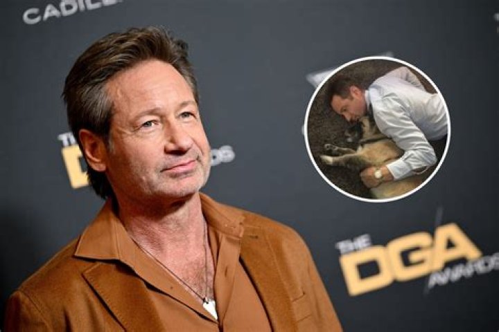 David Duchovny during an appearance on NBC's 'Late Night with Seth Meyers.'