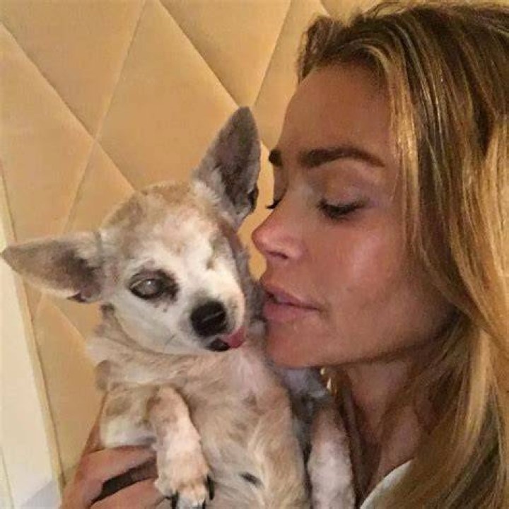 Denise Richards Pets