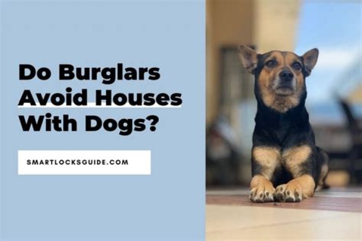 Do burglars avoid homes with dogs?