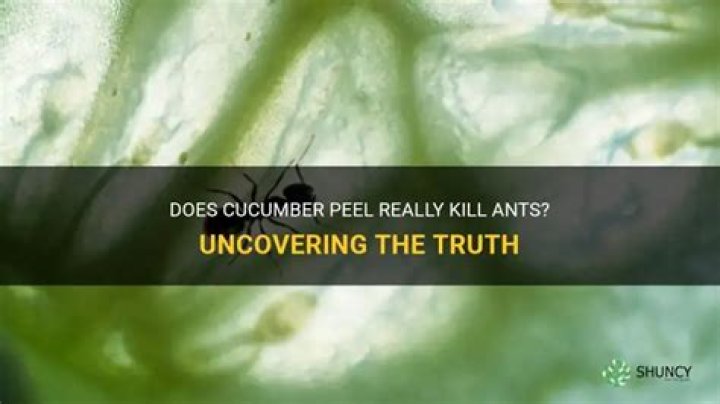 Do cucumber peels kill ants?