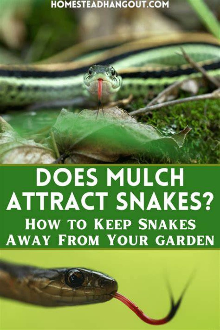 Does gravel keep snakes away?