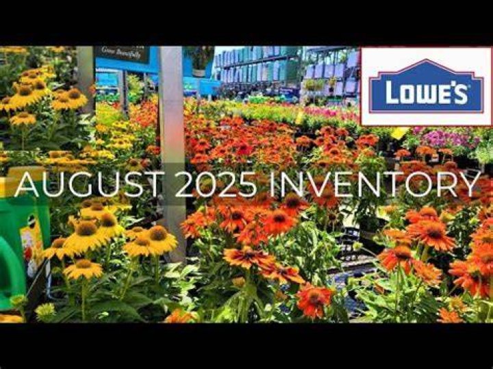Does Lowe’s sell mint plants?