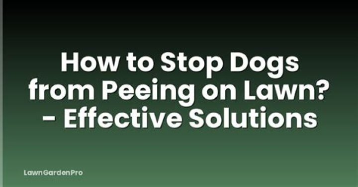 Does Vicks stop dogs peeing?