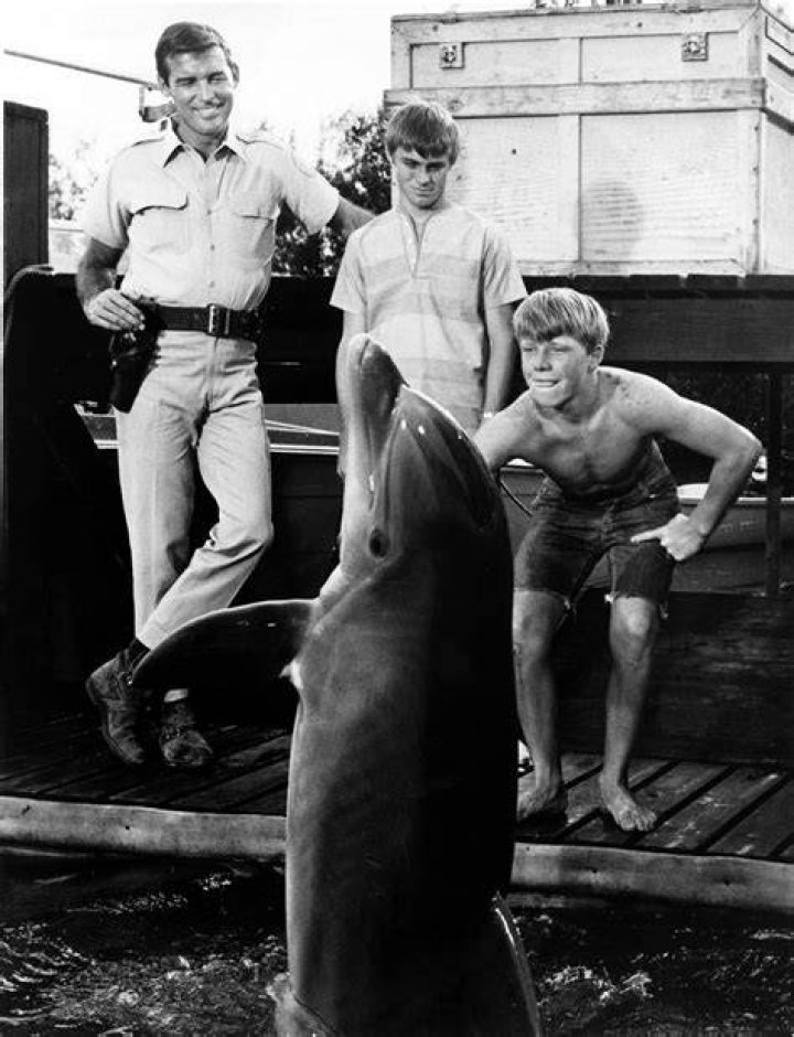 Flipper - Cast, Ages, Trivia