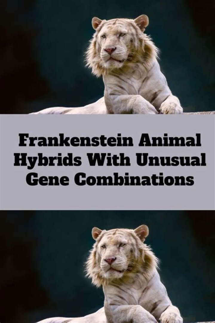 Frankenstein hybrid pet animals from the Poor Things Movie