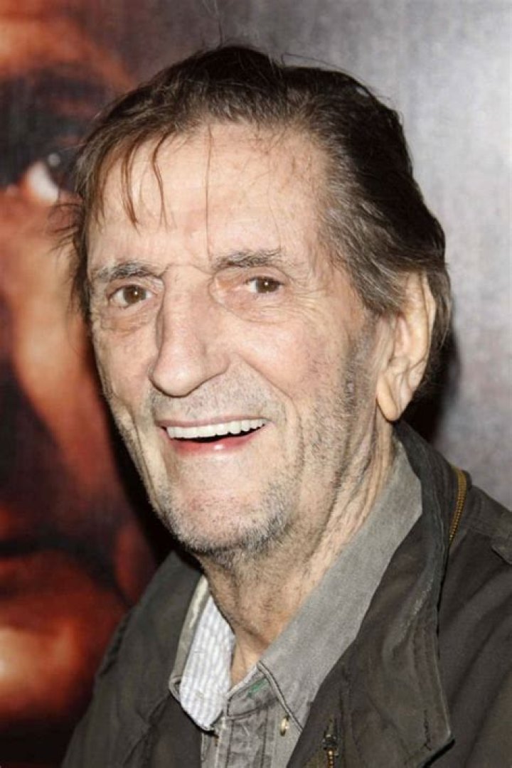 Harry Dean Stanton Highlights