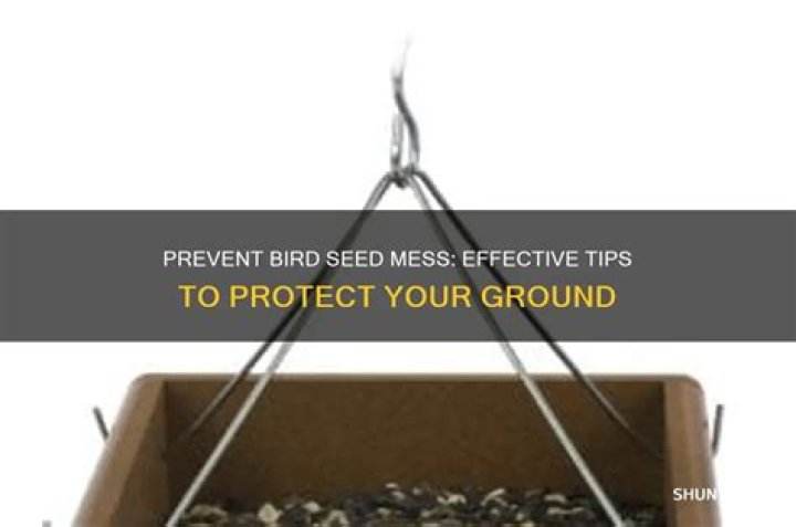 How long can you keep bird seed?