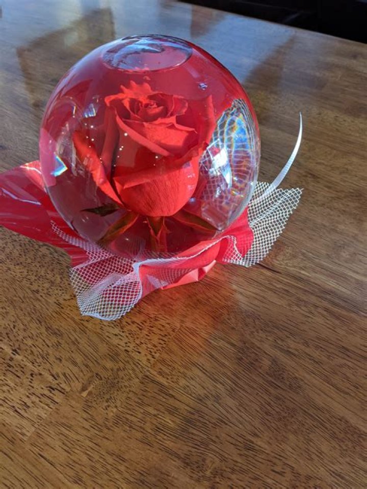How long does a rose in a Globe last?