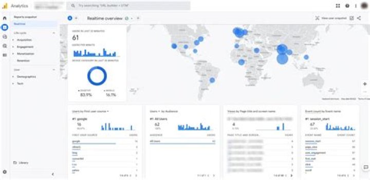 How long does it take Google Analytics to show data?