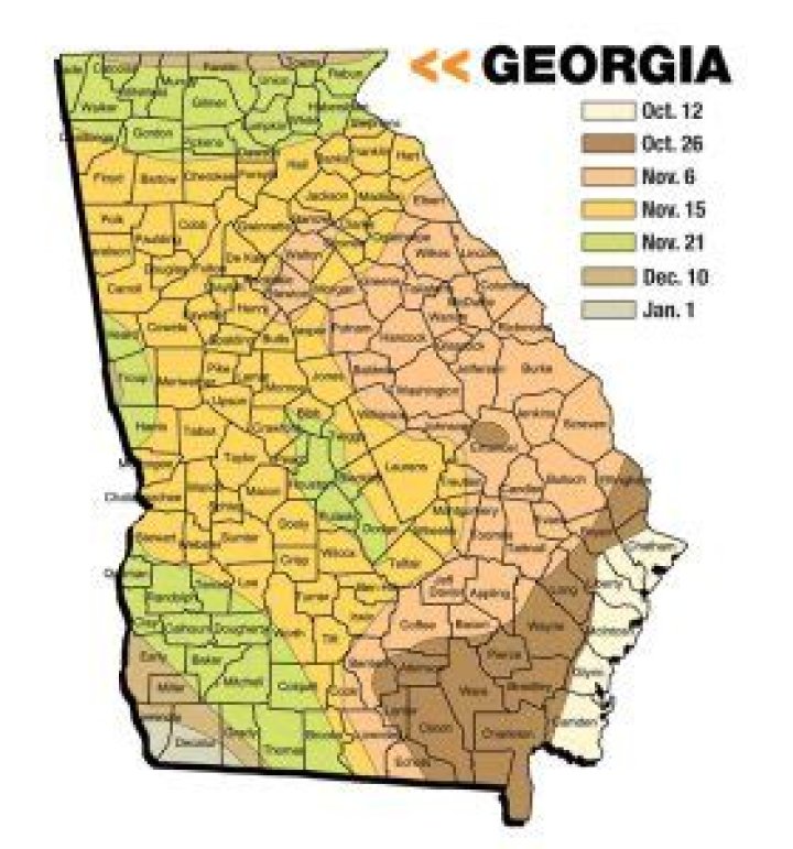 How long does rut last in Georgia?