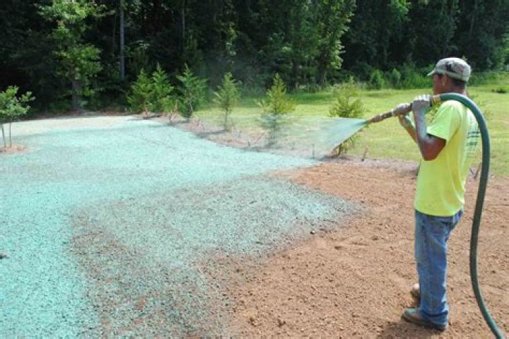 How much does it cost to have your lawn sprayed?