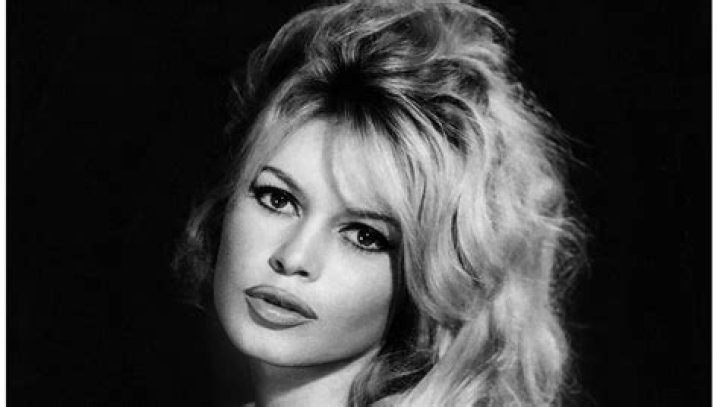 How much is Bridget Bardot worth?