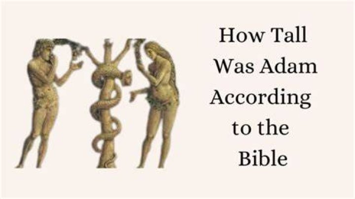 How tall was Adam?