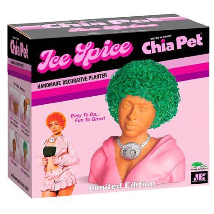 Ice Spice Pets