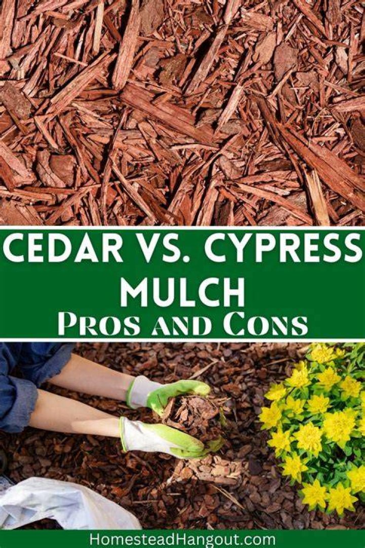 Is Cypress A good mulch?