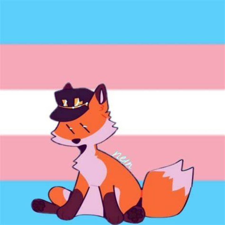 Is Fundy Trans?