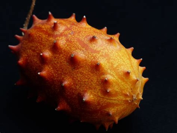 Is Kiwano poisonous?