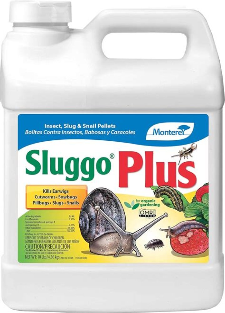 Is Sluggo Plus safe?