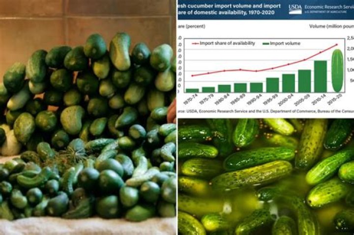 Is there a pickle shortage?