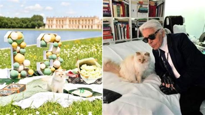Karl Lagerfeld Pets