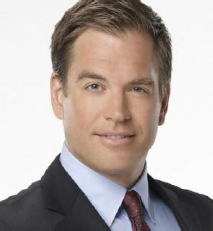 Michael Weatherly Bio (Wiki) 