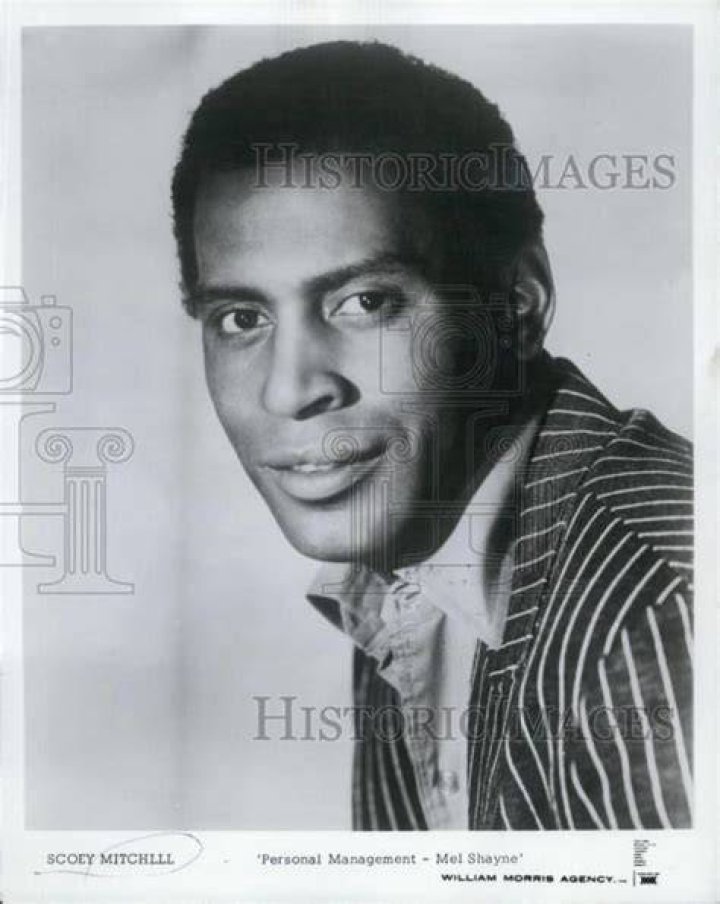 Scoey Mitchell Bio (Wiki) 