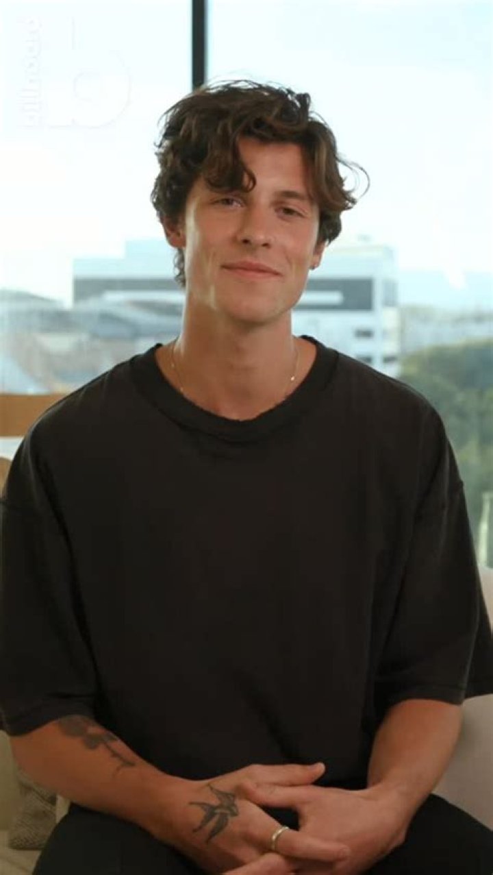 Shawn Mendes SEO