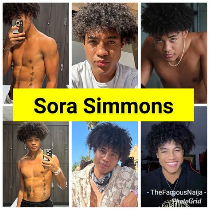 Sora Simmons Pets