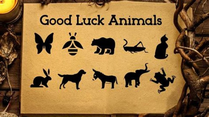 What animals symbolize good luck?