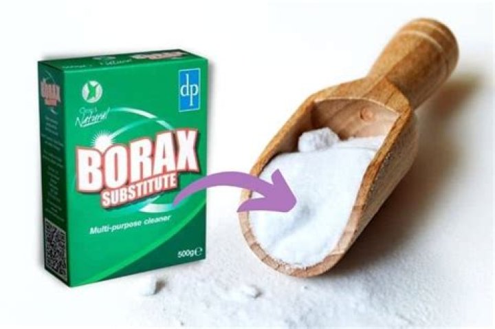 What can I use as a borax substitute?