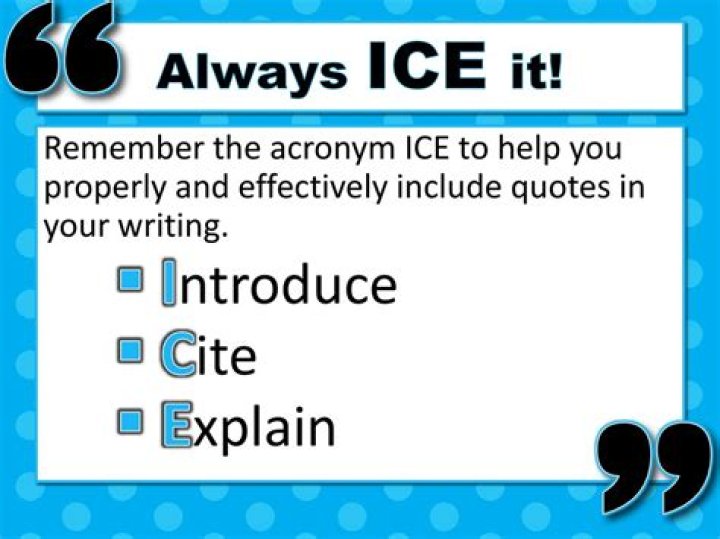 What does acronym ICE stand for?