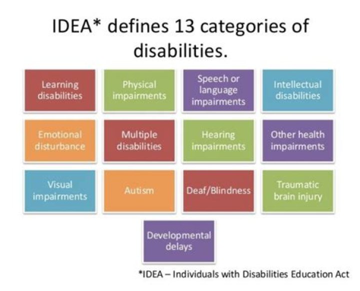 What does idea stand for and what are its 6 principles?