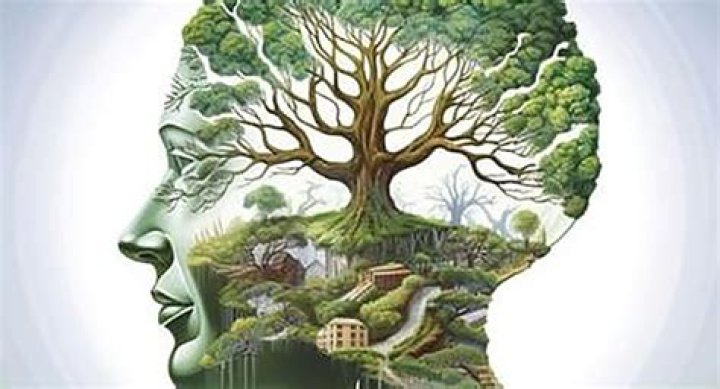 What is a shared environment psychology?