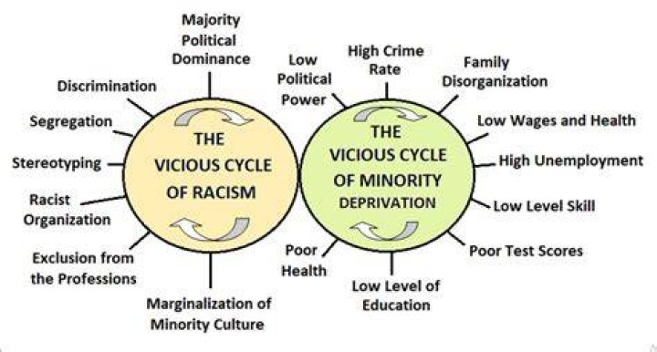 What is cumulative causation theory?