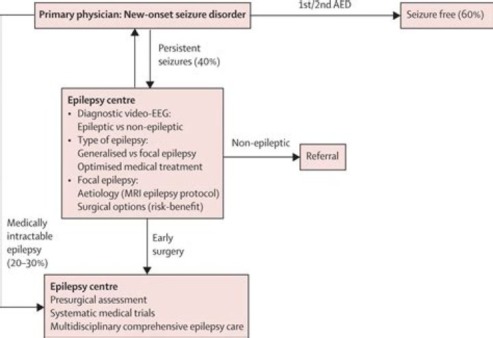What is Epilepsy unspecified not intractable without status epilepticus?