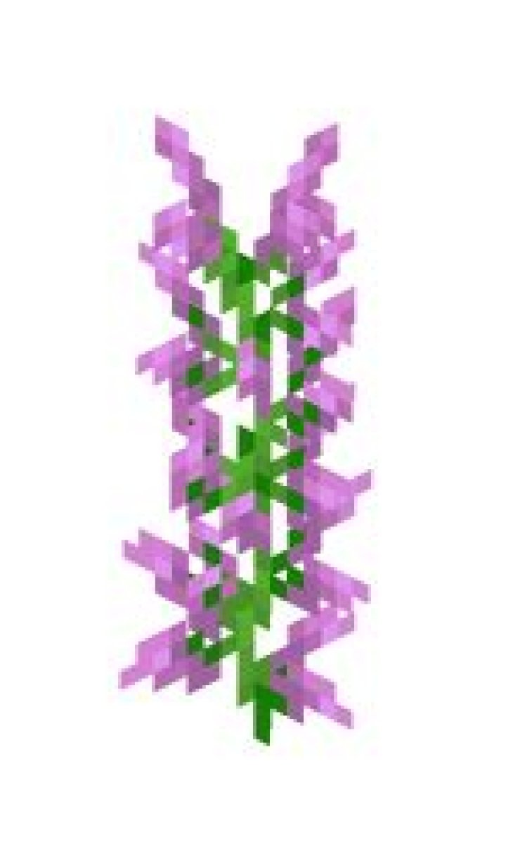 What is Lilac in Minecraft?