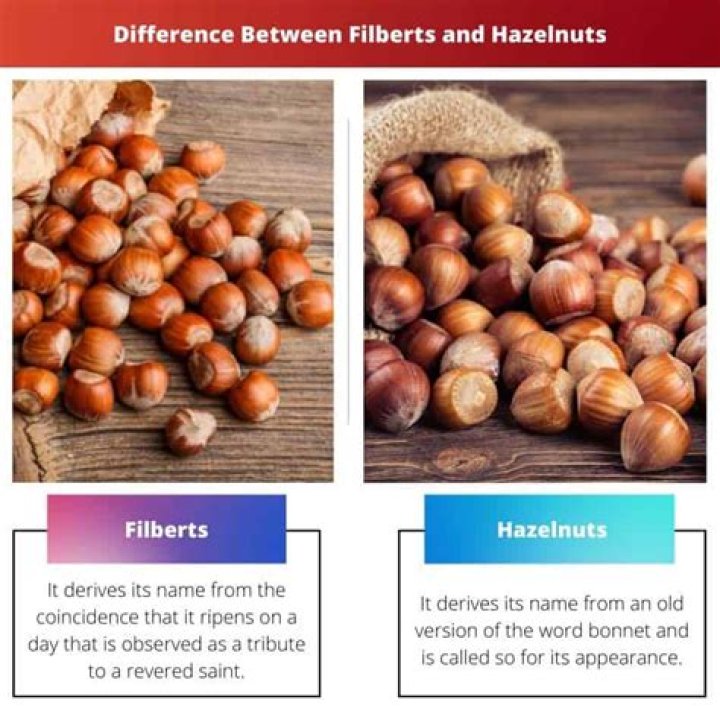 What is the difference between a filbert and a hazelnut?
