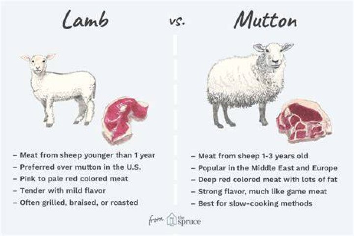 What is the difference between lamb goat and mutton?