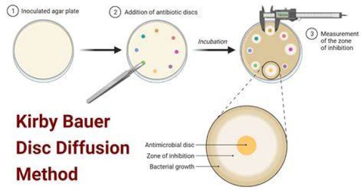 What is the Kirby Bauer disk diffusion method?