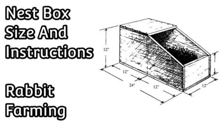 What size should a rabbits nesting box be?