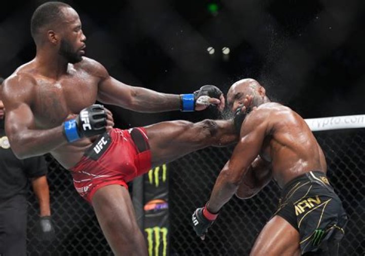What style is Leon Edwards?