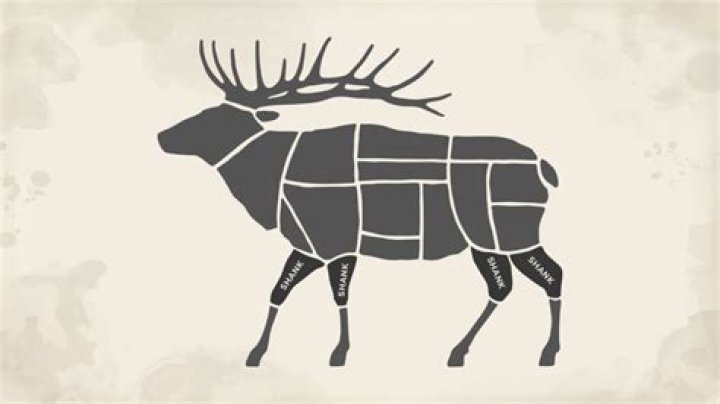 Where are elk tenderloins located?