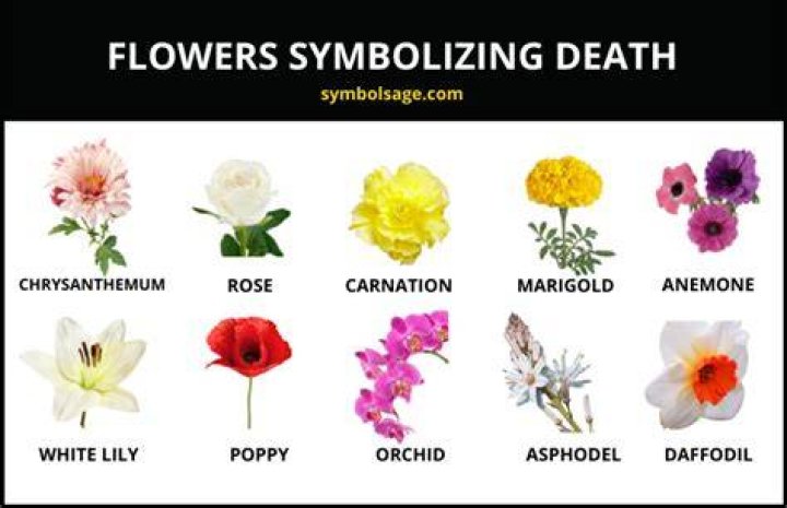 Which flower symbolizes death?